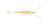 Halco Madeye Paddle Prawn Soft Plastic Lure 4 Inch
