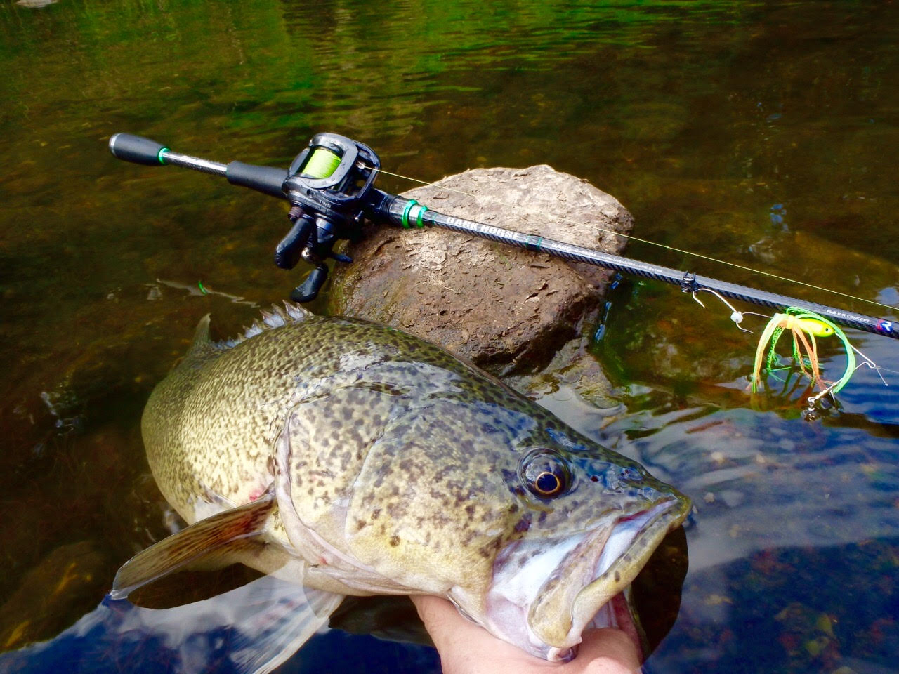 N.S Black Hole Dark Horse Bass Baitcast Rod