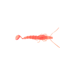 Halco Madeye Paddle Prawn Soft Plastic Lure 4 Inch