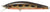 Atomic Hardz Jerk Minnow 65mm Hard Body Lure