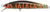 Atomic Hardz Jerk Minnow 65mm Hard Body Lure