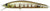 Atomic Hardz Jerk Minnow 65mm Hard Body Lure