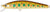 Atomic Hardz Jerk Minnow 65mm Hard Body Lure