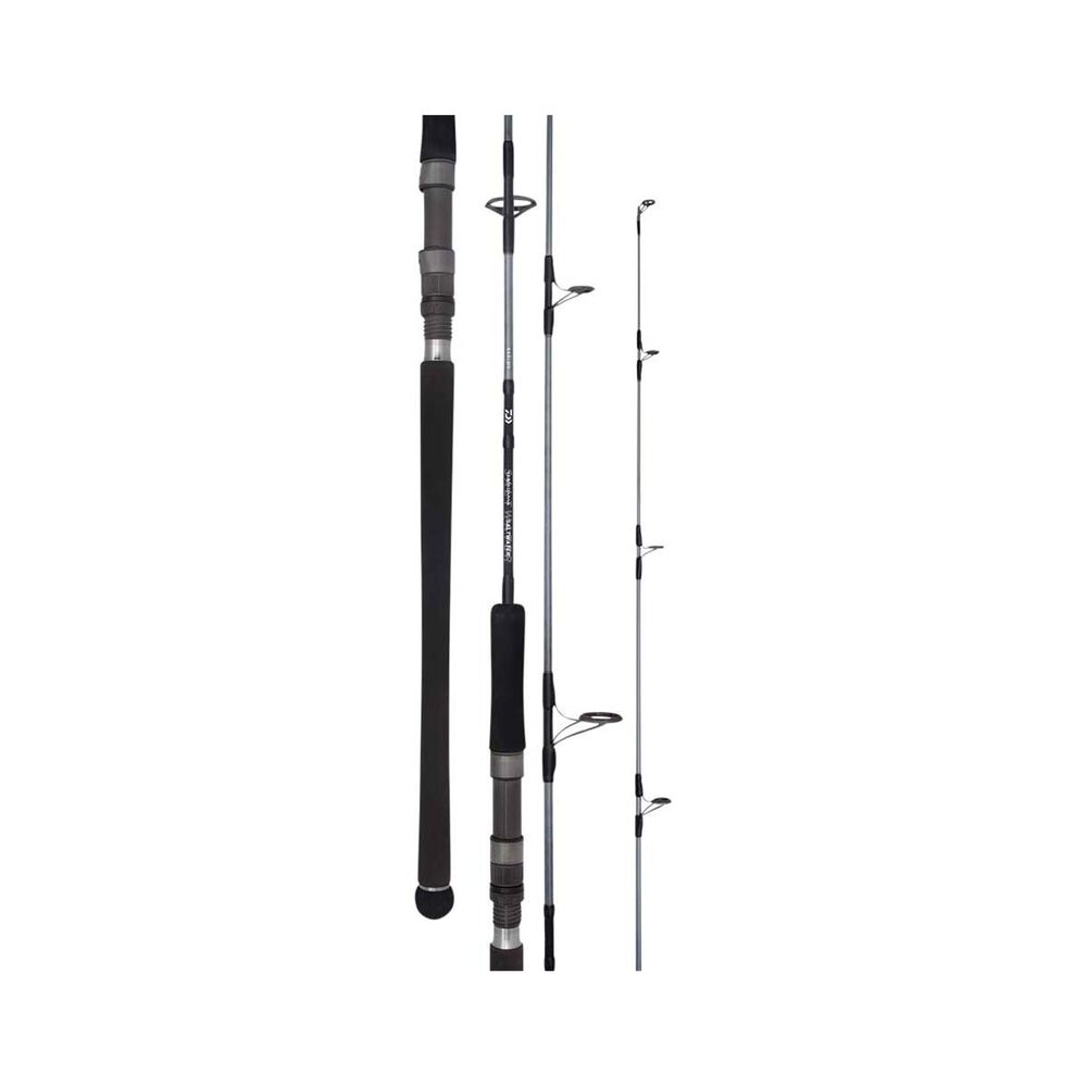 Daiwa 20 TD Saltwater Spin Rod
