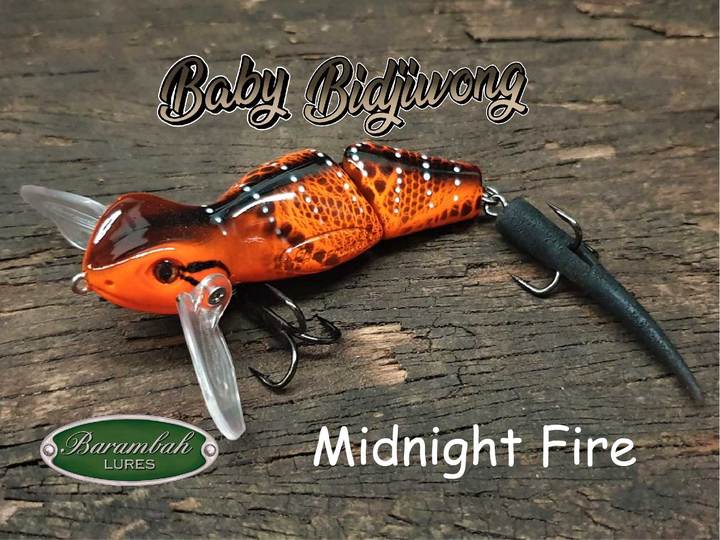 Barambah Baby Bidjiwong 145mm Lizard Surface Walker Cod Lure