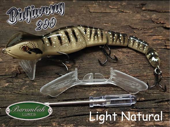 Barambah Bidjiwong 200mm Lizard Surface Walker Cod Lure
