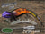 Barambah Bidjiwong 200mm Lizard Surface Walker Cod Lure