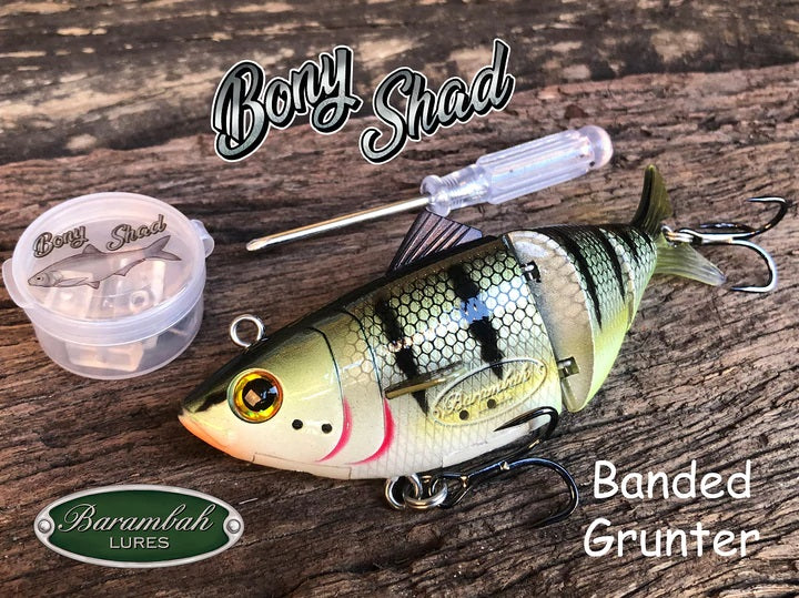 Barambah Bony Shad Swimbait Lure