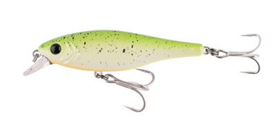 Berkley Pro Tech Bazz Bait Shallow Hard Body Lure 80mm