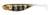 Berkley Powerbait Gotam Shad 3 inch Soft Plastic Lure