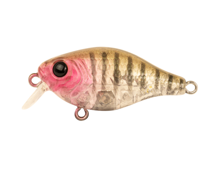 Berkley Pro-Tech Brimz Shallow 38mm Hard Body Lure