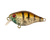Berkley Pro-Tech Brimz Shallow 38mm Hard Body Lure