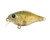 Berkley Pro-Tech Brimz Shallow 38mm Hard Body Lure