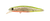 Berkley Pro-Tech Jerk 60mm Hard Body Lure