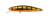 Berkley Pro-Tech Jerk 90mm Hard Body Lure