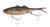 Berkley Shimma Shad 120mm Fork Tail Soft Vibe Lure