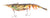 Berkley Shimma Shrimp Soft Vibe Lure