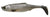 Biwaa SubMission Paddle Tail Soft Plastic Lure