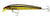 Bomber SW Long A Hard Body Lure 17A - 175mm