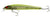 Bomber SW Long A Hard Body Lure 17A - 175mm