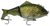 Bone Focus Swimbait Lure 130mm