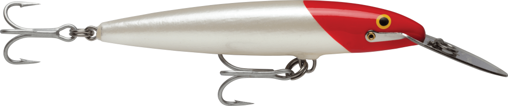 Rapala CDMAG Countdown Magnum Metal BIB Hard Body Trolling Lure 22