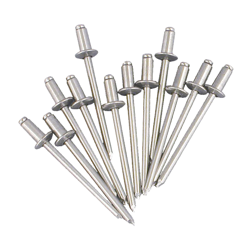 Champion Stainless Steel 304 Rivet