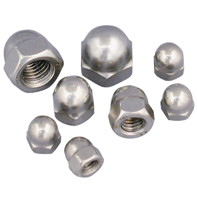 Champion Stainless Steel 316 UNC Dome Nuts