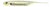 Fish Arrow Fash J SW Soft Plastic Lure