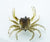 Chasebaits Crusty Crab 50mm Soft Plastic Lure