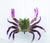 Chasebaits Crusty Crab 50mm Soft Plastic Lure