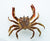 Chasebaits Crusty Crab 50mm Soft Plastic Lure