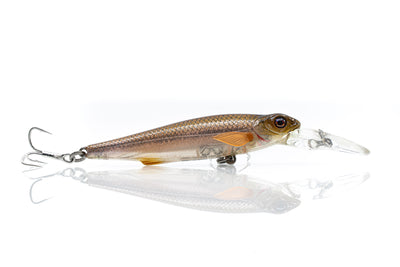 Chasebaits Gutsy Minnow 100mm Shallow Hard Body Lure