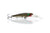 Chasebaits Gutsy Minnow 60mm Shallow Hard Body Lure