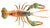 Chasebaits Mud Bug Craw Soft Plastic Lure