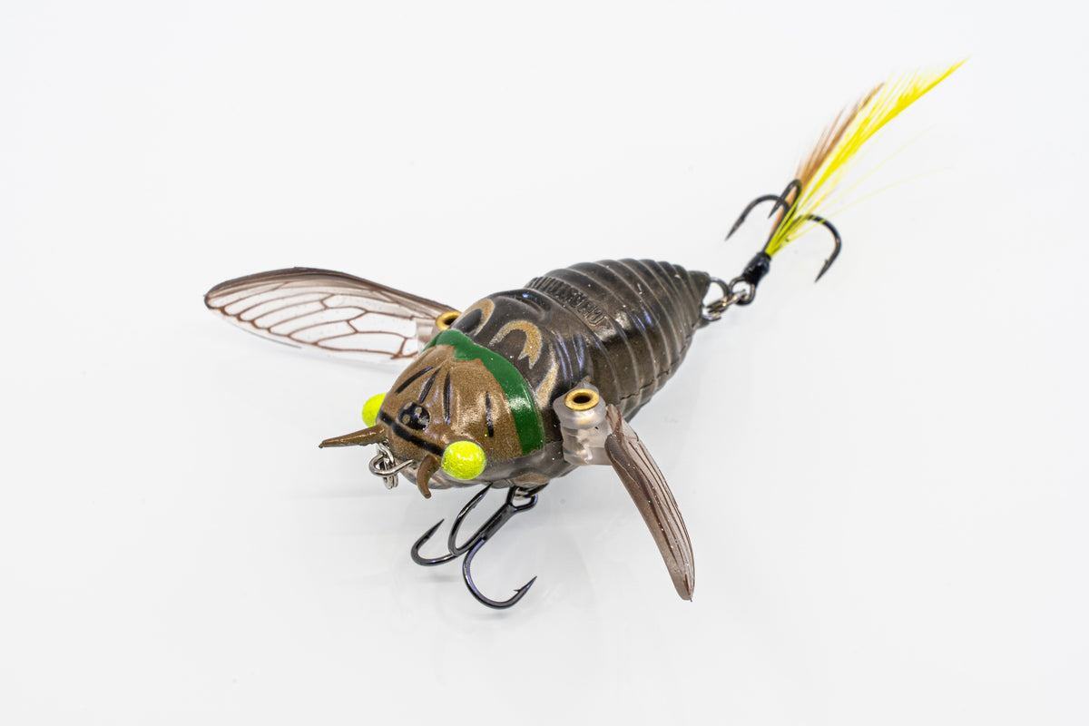 Chasebaits Ripple Cicada 43 Surface Walker Topwater Lure