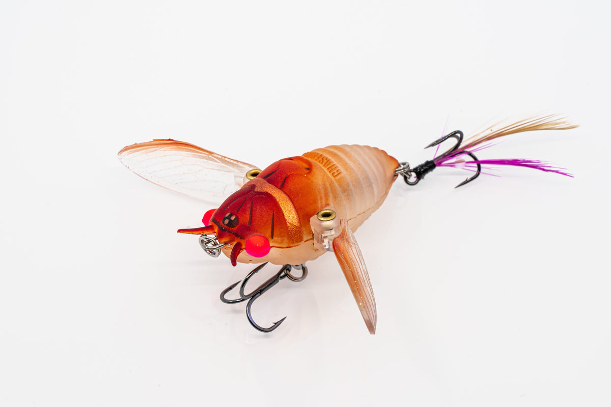 Chasebaits Ripple Cicada 43 Surface Walker Topwater Lure