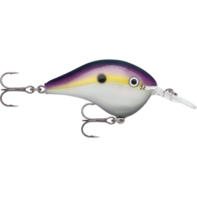 Rapala DT 8 08 Dives To 8 Foot Crankbait Hard Body Lure