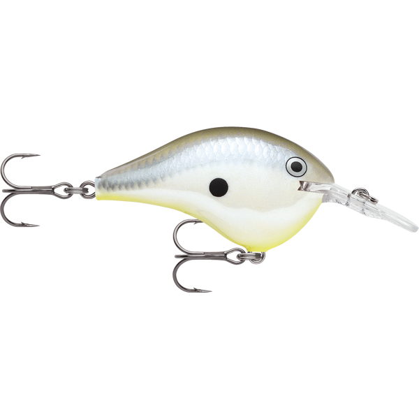 Rapala DT 8 08 Dives To 8 Foot Crankbait Hard Body Lure