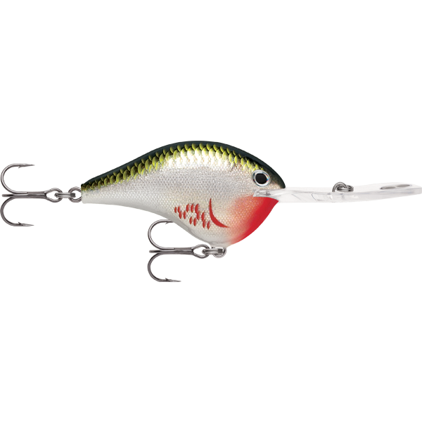 Rapala DT 20 Dives To 20 Foot Crankbait Hard Body Lure