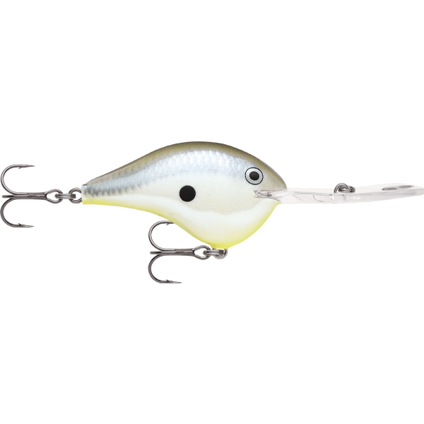 Rapala DT 20 Dives To 20 Foot Crankbait Hard Body Lure