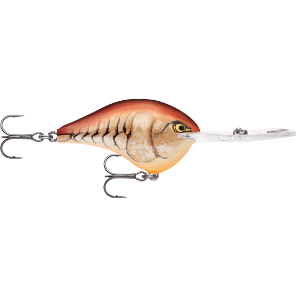 Rapala DT 20 Dives To 20 Foot Crankbait Hard Body Lure
