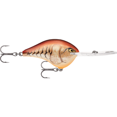 Rapala DT 20 Dives To 20 Foot Crankbait Hard Body Lure