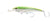 Nomad DTX Minnow Sinking Hard Body Lure 110