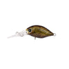 Daiwa Infeet Rolling Crank Hard Body Lure DR