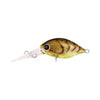 Daiwa Infeet Rolling Crank Hard Body Lure DR