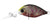 Daiwa Infeet Rolling Crank Hard Body Lure DR