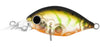 Daiwa Infeet Rolling Crank Hard Body Lure MR