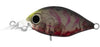 Daiwa Infeet Rolling Crank Hard Body Lure MR