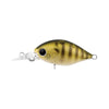 Daiwa Infeet Rolling Crank Hard Body Lure MR